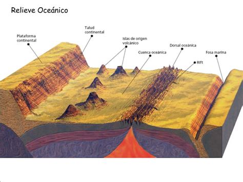 Relieve Continental Y OceÁnico De La Tierra