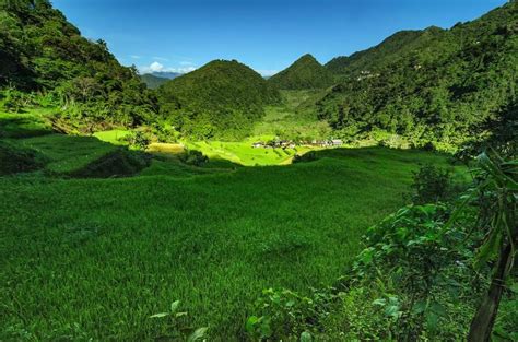 8th Wonder Bangaan Rice Terraces Travel Destination Avianquests
