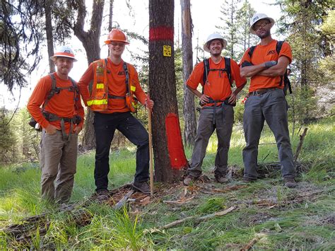 Us Forest Service On Call Cadastral Survey Services Aks Engineering