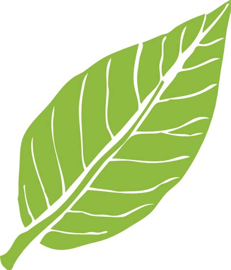 1670 daun clipart gratis domain publik vektor. Lanceolate Leaf 3 Clip Art at Clker.com - vector clip art ...