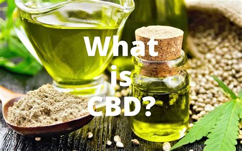 What Is Cbd The Comprehensive Guide Cbd Oil Direct