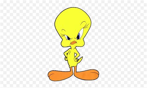 Transparent Angry Tweety Png Image Free Transparent Png Images