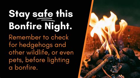 Ainsco Fire And Security Essential Fire Safety Tips For Bonfire Night