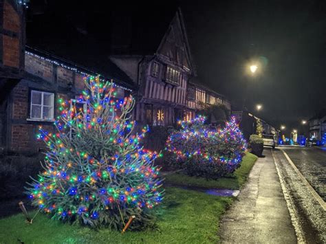 Christmas Trees In Pembridge © Fabian Musto Cc By Sa20 Geograph