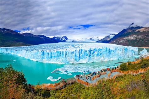 El calafate is a city in patagonia, argentina. Conocé el glaciar: Ushuaia y Calafate en bus y en avión ...