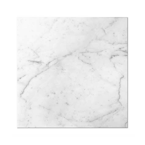 Bianco Carrara Marble 12 X 12 Polished Garden State Tile