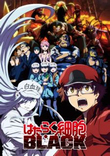 Wondering where it all went. Hataraku Saibou Black Subtitle Indonesia | Otaku Desu