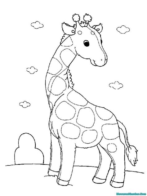 Belajar Mewarnai Giraffe Coloring Pages Zebra Coloring Pages Cute