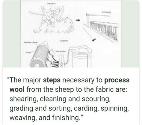 Explain The Steps Involved In The Processing Of Wool