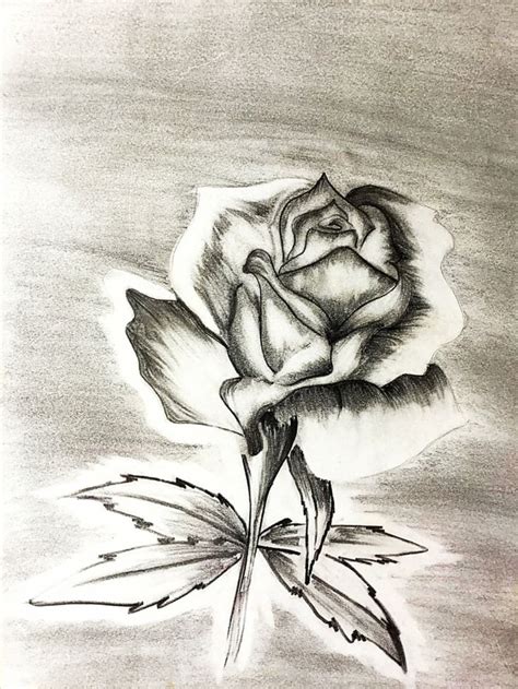 Come disegnare con la matita un fiordaliso. 1001 + Idee per Come disegnare una rosa con tutorial (con immagini) | Disegni, Fiori disegnati a ...