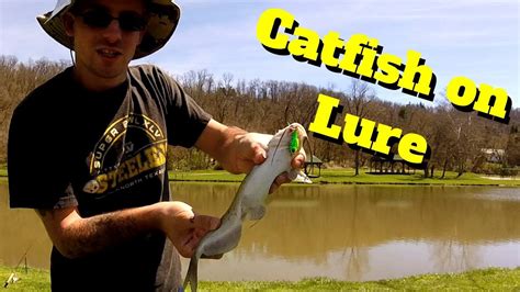 Catfish On A Lure Youtube
