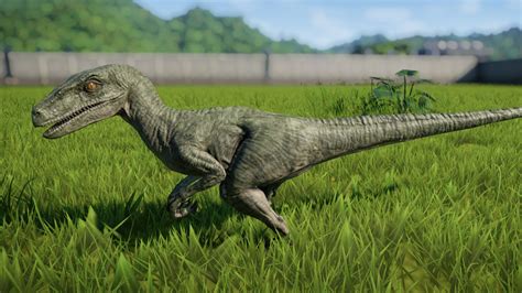 Velociraptor Jurassic World Evolution Wiki Fandom Velociraptor