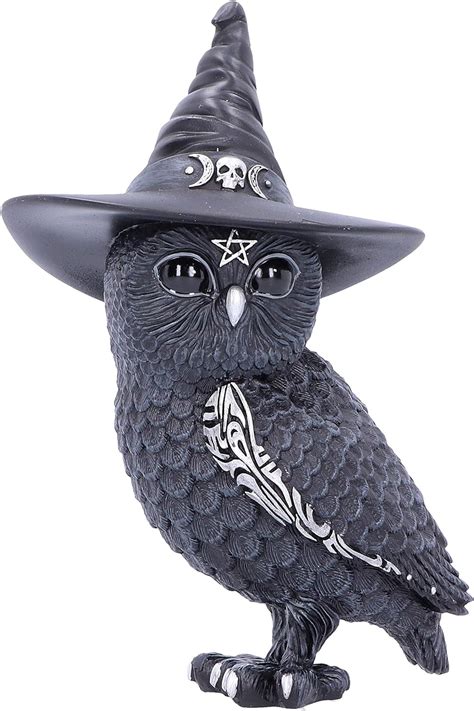 Amazonde Nemesis Now Witches Hat Occult Owl Figurine Black 135cm