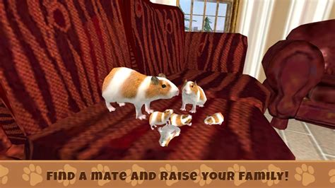 Guinea Pig Simulator Game By Juliia Blokhina