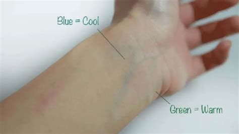 How To Know Your Skins Undertone Is Blue Veins Undertone