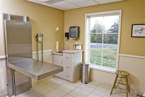 Goat and sheep veterinary care. Veterinary Exam Room | Hospital design, Veterinary ...