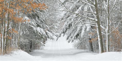 Michigan Nut Photography Snow Tracks Exploring Winter