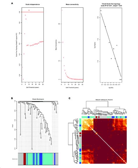 the wgcna analysis of immune related degs a network topology download scientific diagram