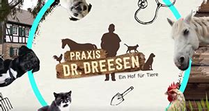 Uwe dreesen alzeyer straße 65d 67549 worms. Tierarzt Dr. Dreesen | News, Termine, Streams auf TV ...