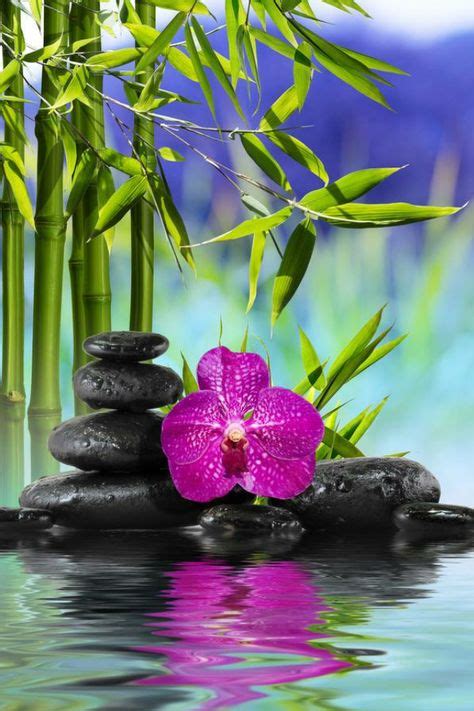 260 Idées De Lotus Zen Jardin Deau Paysage Zen Fond Ecran Zen
