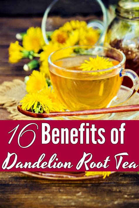 16 Benefits Of Dandelion And Dandelion Root Tea For Your Health