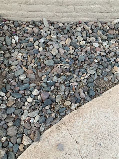 Use them in commercial designs under lifetime, perpetual & worldwide rights. Free landscaping river rock. Pick your own for Sale in ...