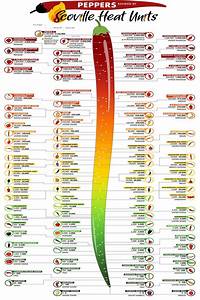 Scoville Heat Units Pepper Chart Laminated Poster Etsy Canada