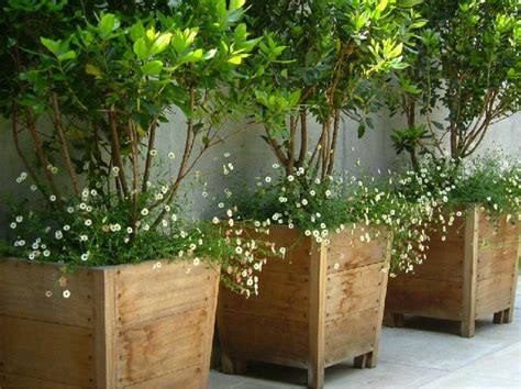 Planters come equipped with a removable shelf. tall potplants near pools - Google Search | Potted plants ...