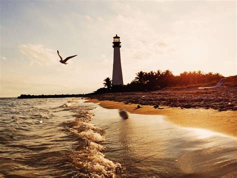 George island consistently rates as one of the top beaches in the u.s., with miles of uncrowded expanses for sunning and shelling, clear gulf waters for swimming and fishing, and pristine marshes for wildlife viewing. Top 6 Fun Things to Do on St. George Island With Kids