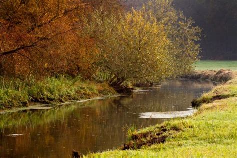 Free Images Tree Nature Wilderness Plant Boat Bridge Sunlight