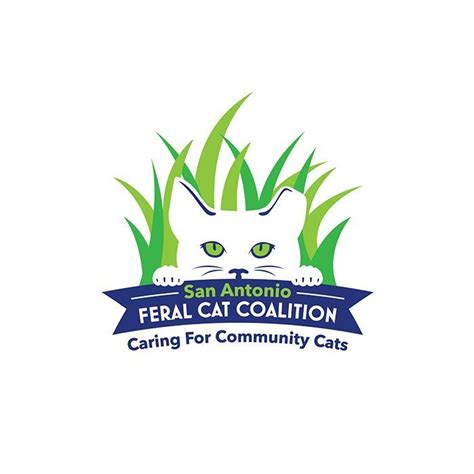 San Antonio Feral Cat Coalition Logo Design Blackstone Studio