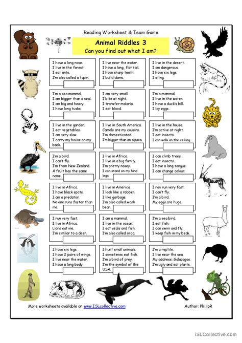 Animal Riddles 3 Hard English Esl Worksheets Pdf And Doc