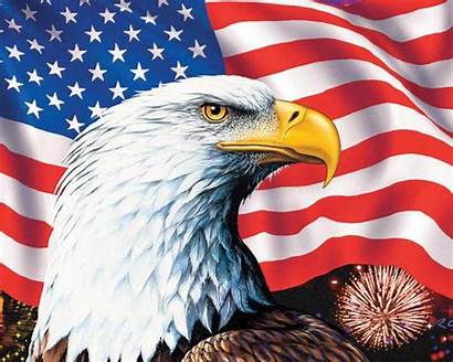 Flag American Eagle Bald America Symbols Definition