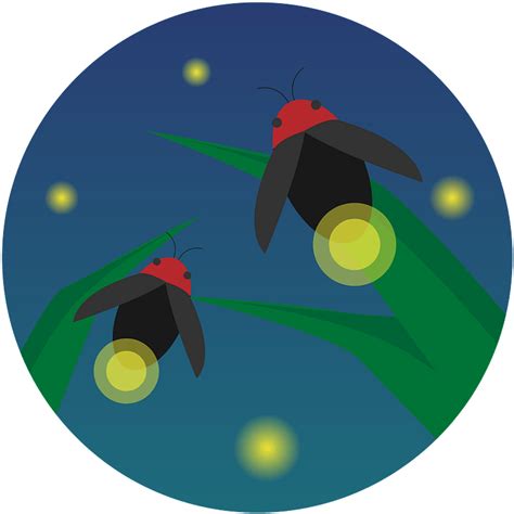 Firefly Insect Clipart Illustration Png Download Full Size