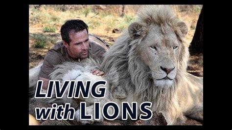 Living With Lions One News Page Video