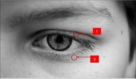 Kelopak mata kiri bergerak (left eye twitching) walaupun kepercayaan karut tentang mata kiri bergerak yang membawa petanda nasib buruk atau baik boleh dijadikan bahan bacaan yang baik, terdapat juga sebab saintifik di sebaliknya. Tak Sedap Hati Bila Kelopak Mata Bergerak-gerak Atau ...