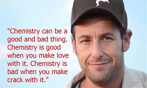 Adam Sandler Quotes