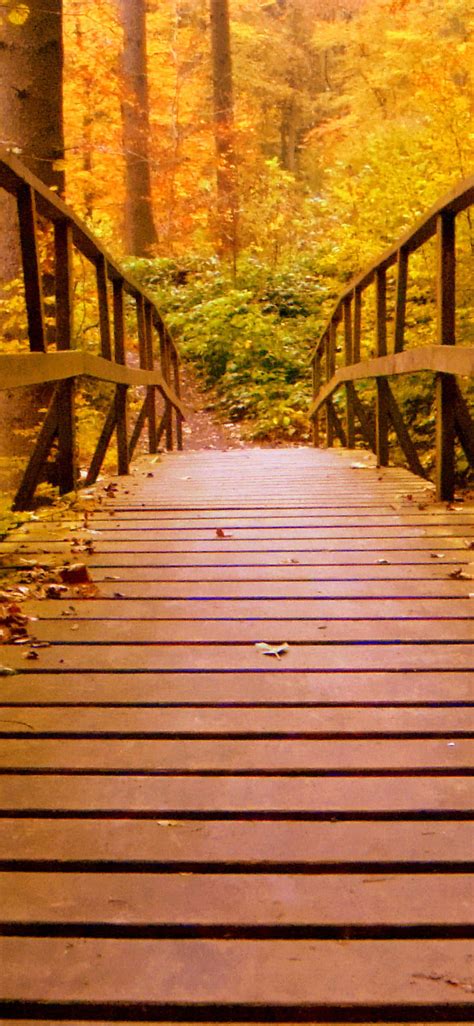 1125x2436 Wooden Bridge Forest Autumn Leaves Iphone Xsiphone 10iphone