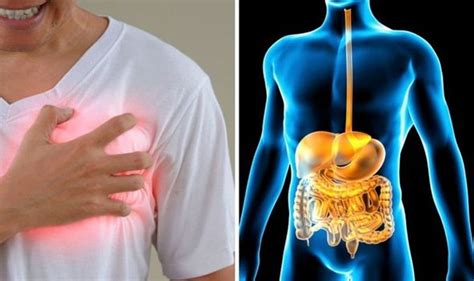 Ineffective Fat Digestion Symptoms The 7 Signs Youre Not Digesting