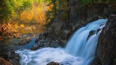 Adirondack Park Waterfall Around Trees In Usa Hd Nature Wallpapers Hd