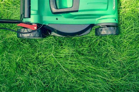 Lawn Mowing Tips How To Mow A Lawn The Right Way Lawnstarter Eu