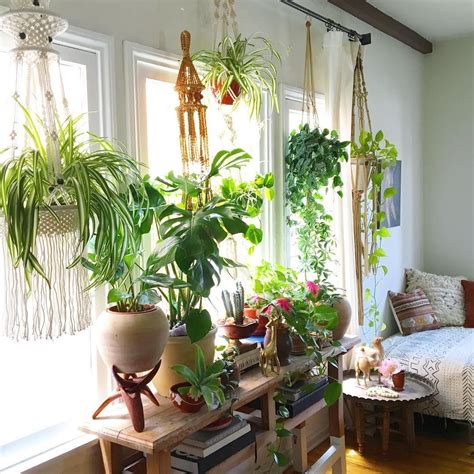 15 Beautiful Window Plants Ideas That Will Freshen Up Your