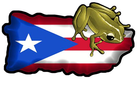 Coqui Puerto Rico Dibujo