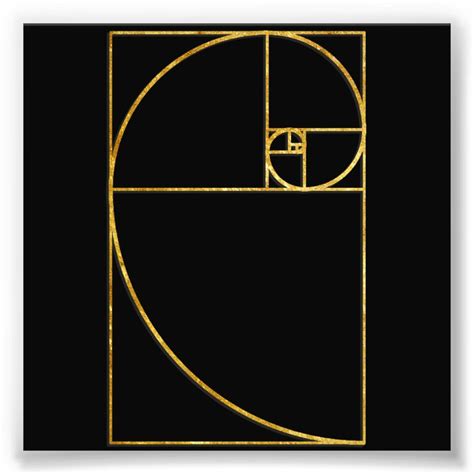 Golden Ratio Sacred Fibonacci Spiral Photo Print Zazzle Espiral De