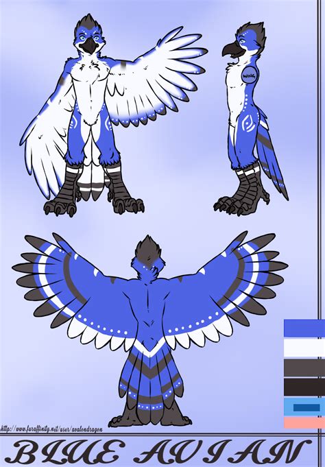 Blue Avian Reference Sheet By Aggrobadger Fur Affinity Dot Net