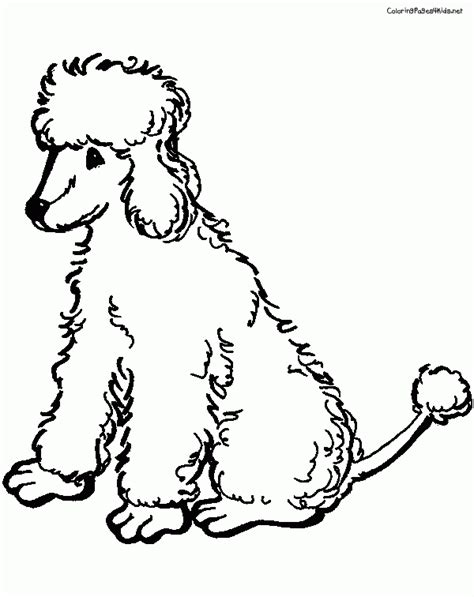 View and print full size. Free Poodle Coloring Pages - Coloring Home