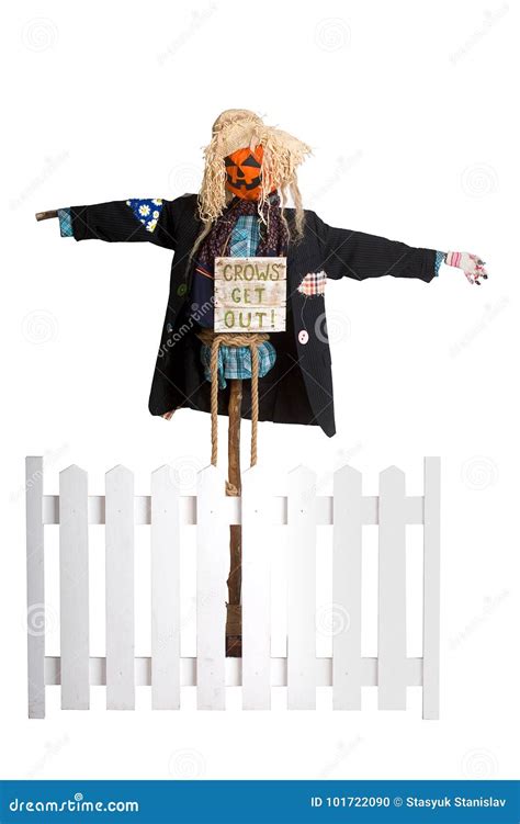Funny Scarecrow Stock Photo Image Of Figure Face Holiday 101722090