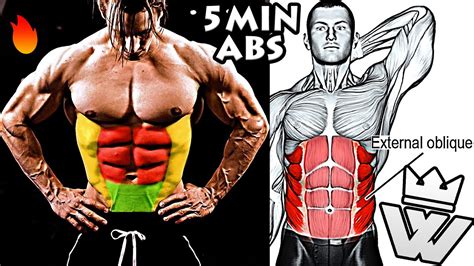 5 Minute Fat Burning Abs Workout Youtube