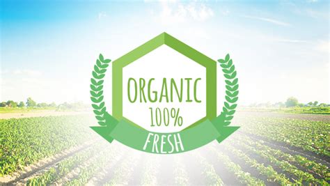 Steps To Get Organic Certification 24 Mantra Organic