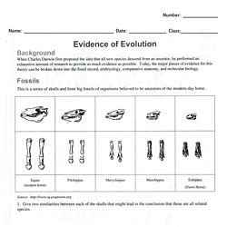 Explore learning gizmo answer key ionic bonds.we provide ionic bonds gizmo answers and numerous books. Evidence Of Evolution Worksheet Answer Key